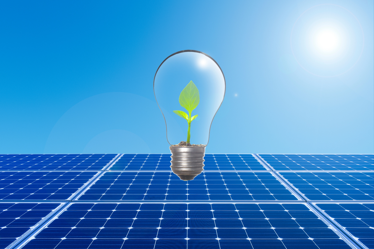 Ampoule avec une jeune plante à l’intérieur, posée sur des panneaux solaires sous un ciel ensoleillé