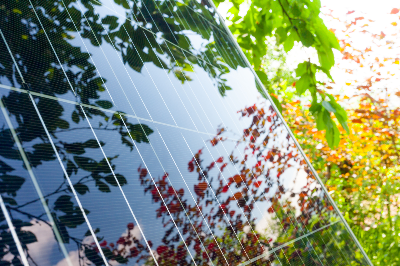 Reflet des arbres sur un panneau solaire en extérieur