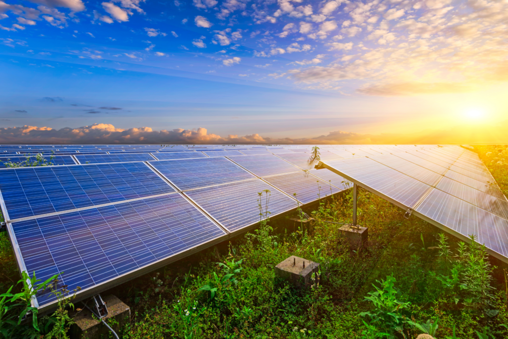 champ de panneaux photovoltaïques