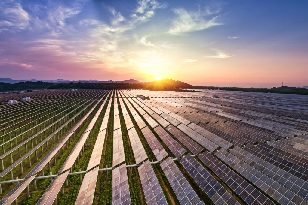 grand champ de panneaux solaires avec coucher de soleil